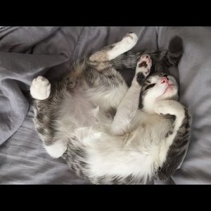 Meet your Posher, Erin